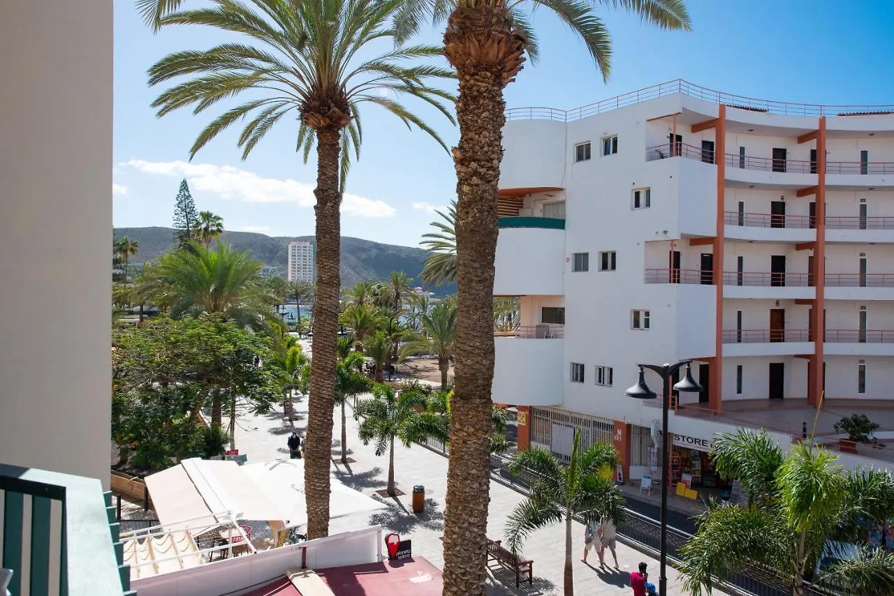 211 Los Cristianos First Sea Line, Swimming Pool 0*, Los Cristianos (Tenerife)